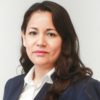 Karol Zegarra Alemán