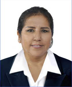 Doreli Paola Sonco Colquehuanca