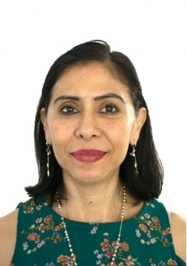 Li Ma Del Rosario Nava Chávez
