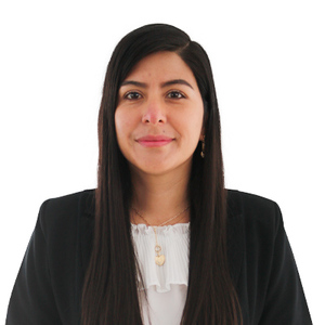 Cynthia Elizabeth Zamudio Moron