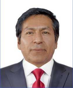 José Luis Suani Ochoa