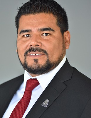 Néstor Gabriel Domínguez Luna