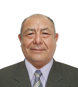 Danel Ibañez Chaquila