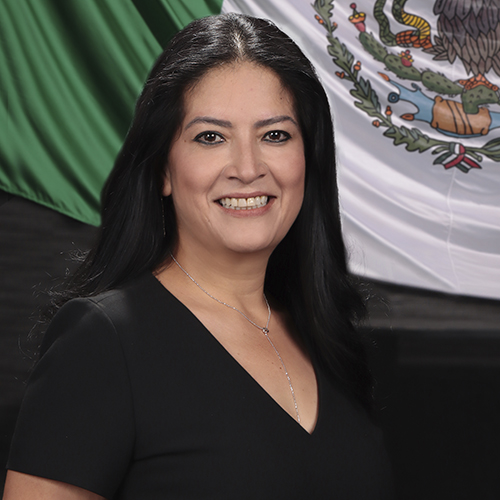 Mirna Zavala Zuñiga