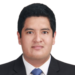 Vallejos Sagastegui Junior