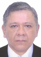 German Vladimir Chong Rios