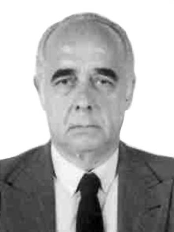 Fernando Bruggemann Viegas De Amorim