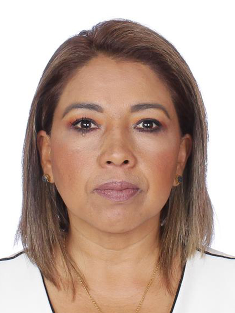 Erika De Los ángeles Díaz Villalón