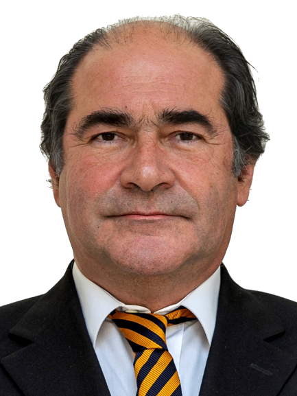 João Carlos Da Silva Bastos Dias Coelho