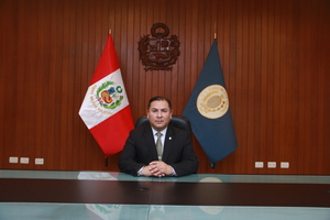Ronny Calagua Gavilán