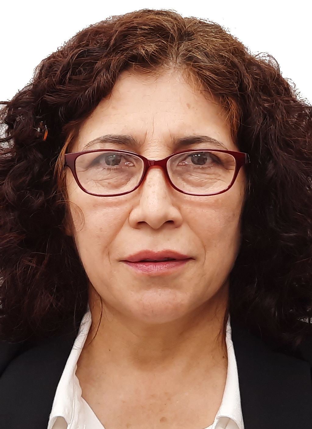 Judith Celina Tánori Córdova