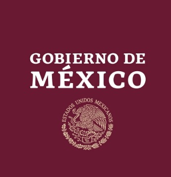 Titular De La Unidad De Promoción Institucional