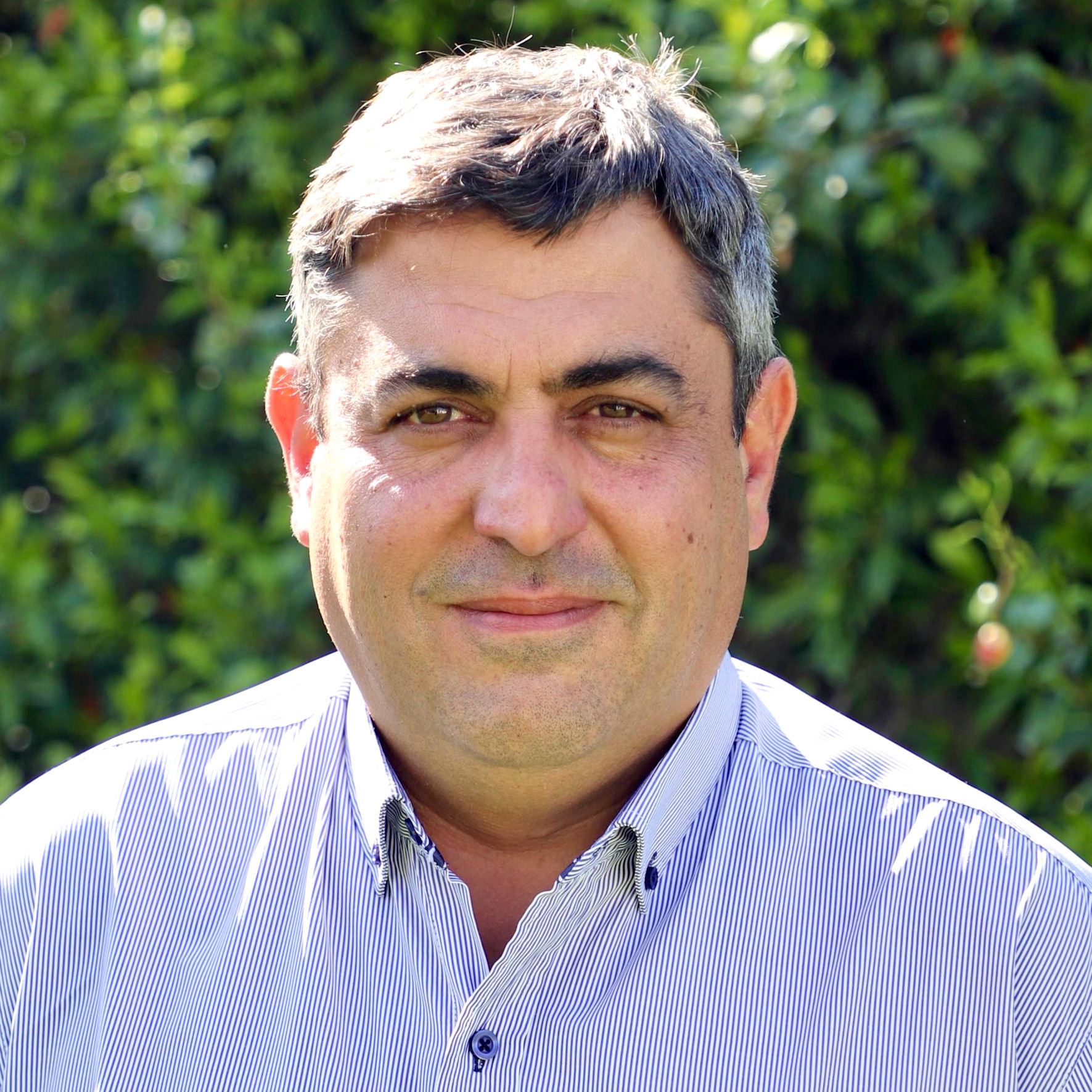 Demetrio Thalasselis