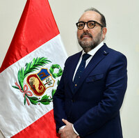 Javier Ernesto Ruiz-Eldredge Vargas