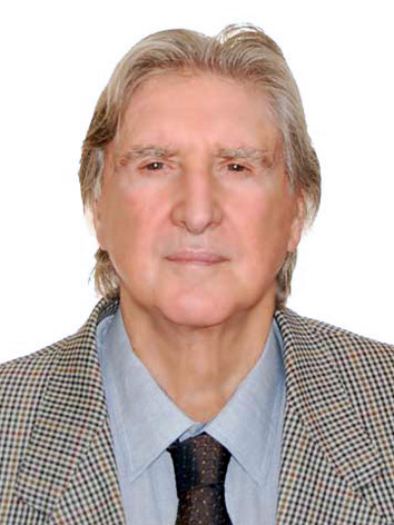 Sergio Bavini