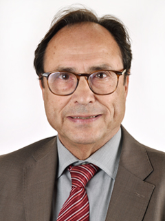 Vicent Enric Soler Marco