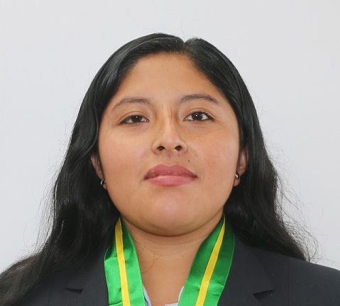 Ana Mariela Tineo Chaquila