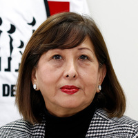 Yolanda Carolina Falcón Lizaraso