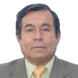 Luis Gabriel Farro Perez