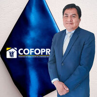 Richard Elvis Ramos Condori