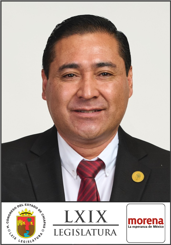 Ervin Leonel Perez Alfaro