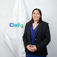 Karla Mónica Valer Cerna