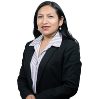 Milca Inga Chuquizuta