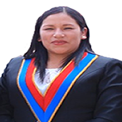 Diana Rosali Palacios Aliaga