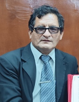 Justo Ismael Gamarra Vargas