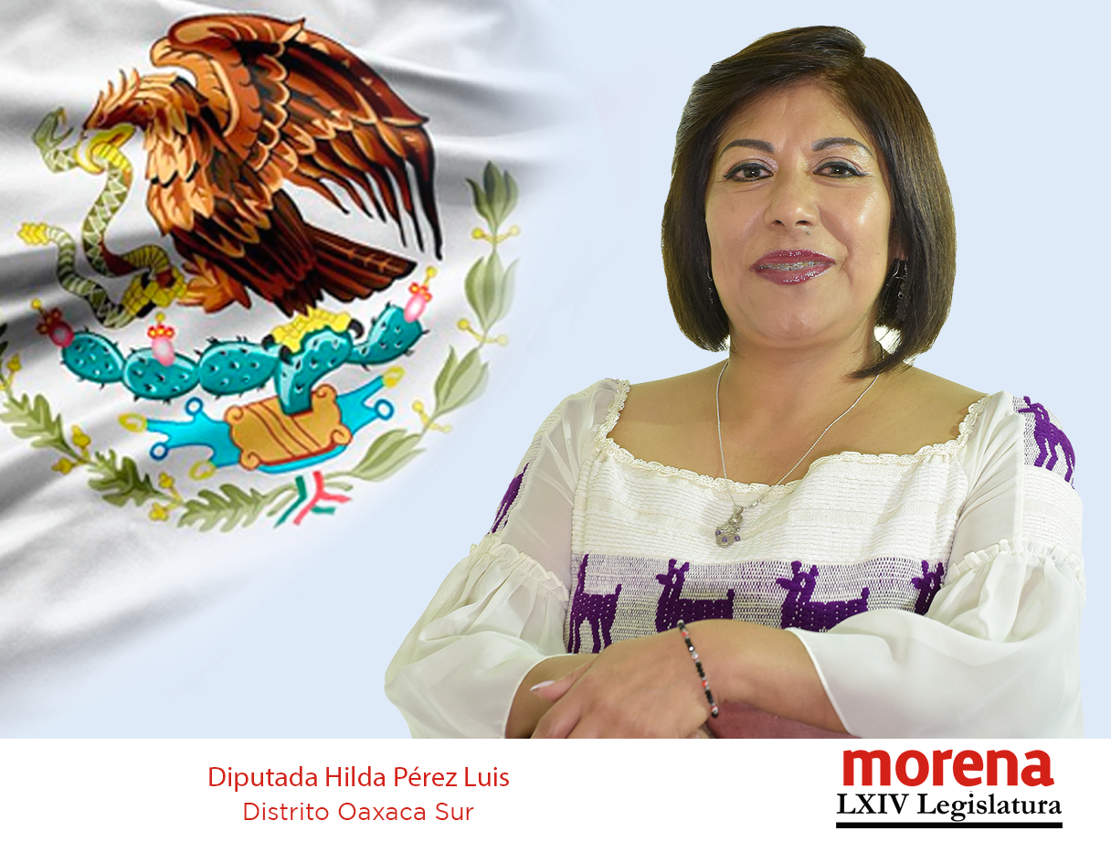 Hilda Graciela Pérez Luis