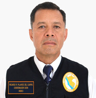 Ricardo Rubén Pajares Del Carpio