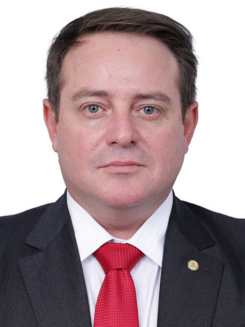 Ronaldo Santini