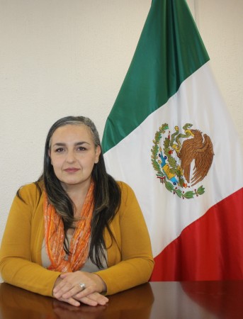 María Dolores Aceves ávila
