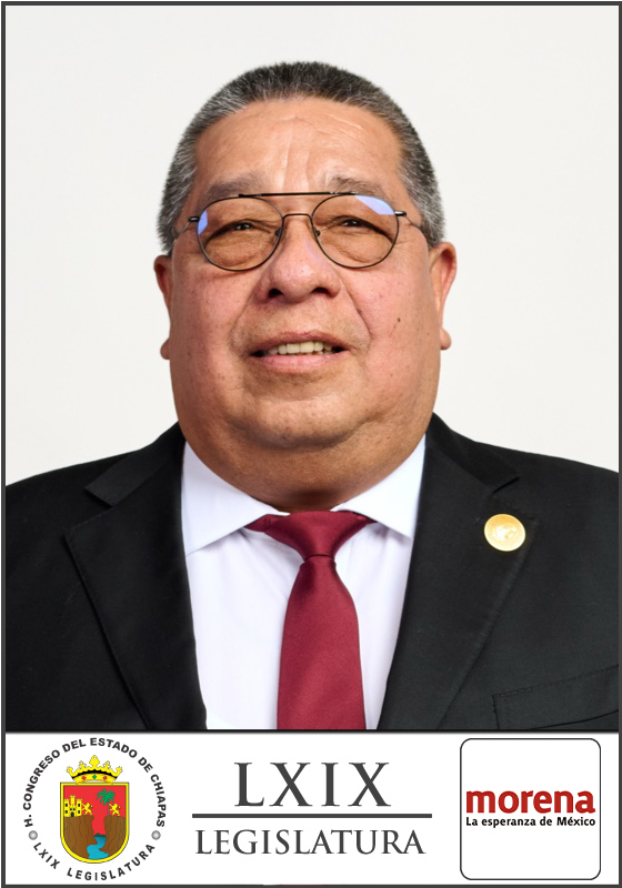 José Jesús Domínguez Castellanos