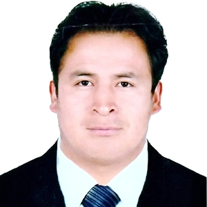 Joel Lenner Castañeda Dueñas