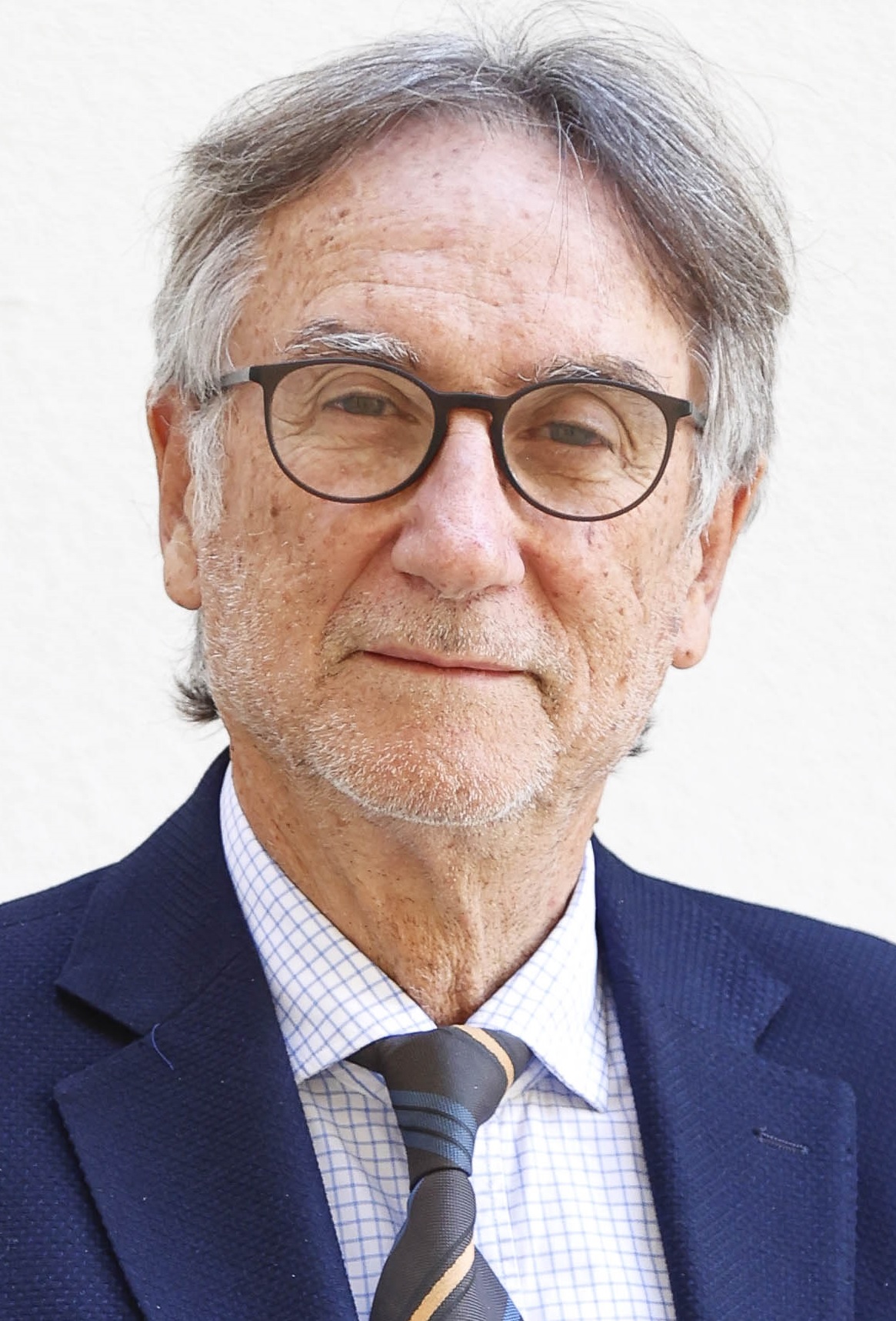 Fernando Juan Mulas Delgado
