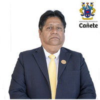 Daniel Alexander Soto Borjas