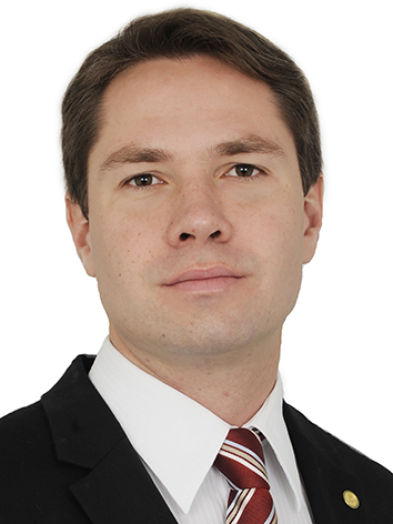 Pedro Torres Brandão Vilela
