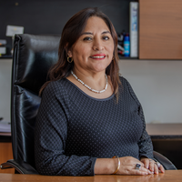Reyna Isabel Huamani Huarcaya