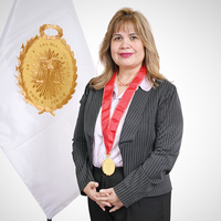 Marjorie Nancy Silva Velasco