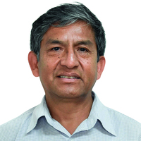 Domingo Fernando Goicochea Chumpitaz