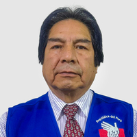 Carlos Andre ñahui Palomino