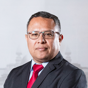 Robert Jimmy Villanueva Diaz