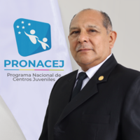 Raul Villafuerte Segovia