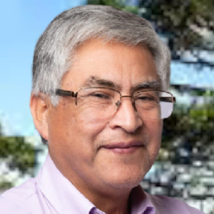 Félix Vita Manquepi
