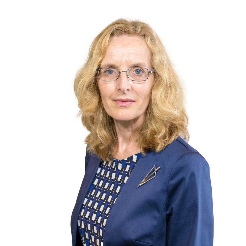 Henny Fokel De Vries