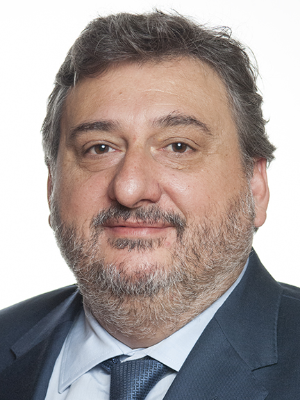 Luís álvaro Barbosa De Campos Ferreira