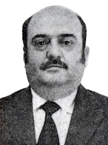 José Bonifácio Diniz De Andrada Neto