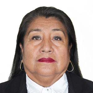 Yrma Reymundo Mechato De Malaver