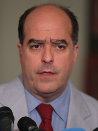 Julio Andres Borges Junyent